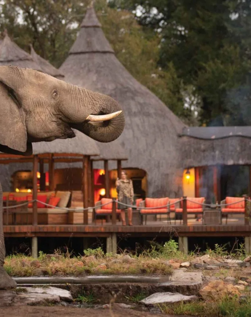 imgi_112_Extraordinary-Hoyo-Hoyo-Safari-Lodge-Main-area-elephants-at-water-hole-1536x868.jpg