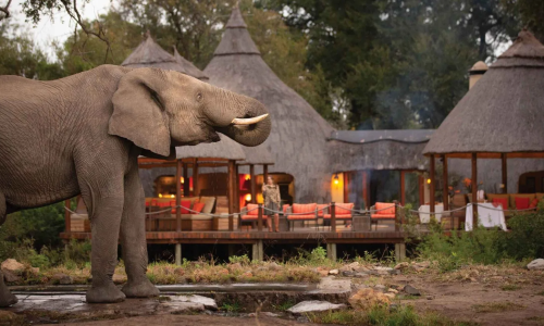 imgi_116_Extraordinary-Hoyo-Hoyo-Safari-Lodge-Main-area-elephants-at-water-hole-1536x868.jpg