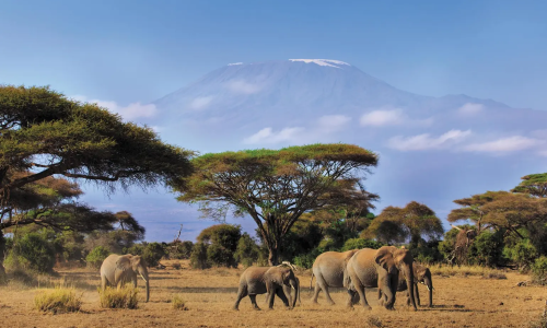 imgi_35_safari-to-kilimanjaro-machame-route-1144193-1740732721